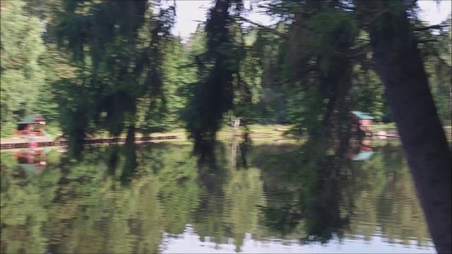 Утренний обзор с нижнего водоёма. Клёвое место, Лосиный остров.