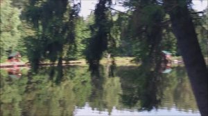 Утренний обзор с нижнего водоёма. Клёвое место, Лосиный остров.