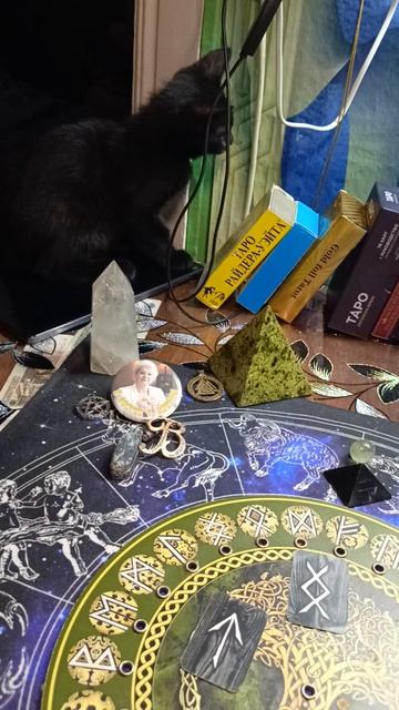 Помощник подрастает!🐈⬛
