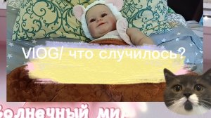 VIOG с РЕБОРНОМ Мелисой/ что случилось???/ диарея 🌻🌾🌿