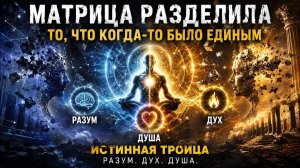16. МАТРИЦА РАЗДЕЛИЛА ТО, ЧТО КОГДА-ТО БЫЛО ЕДИНЫМ. Разум. Дух. Душа. Истинная Троица.