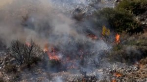 Европа в огне и без воды: пожары выжгли полмиллиона гектаров, а реки пересохли