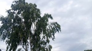Обстановка нормализовалась!