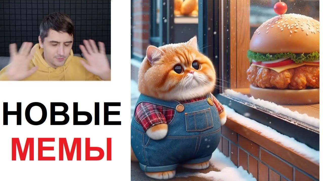 Новые МЕМЫ. Как котик заполучил бургер