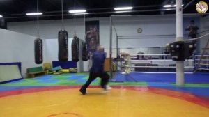 Цинлун пигуацюань. Дракон
