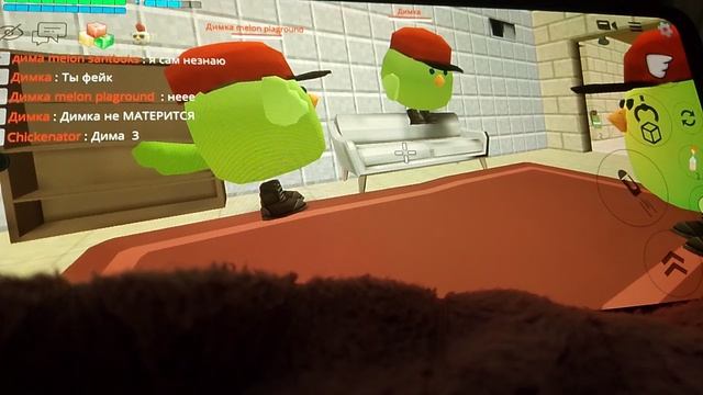 Chicken Gun