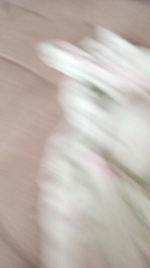 я молния.