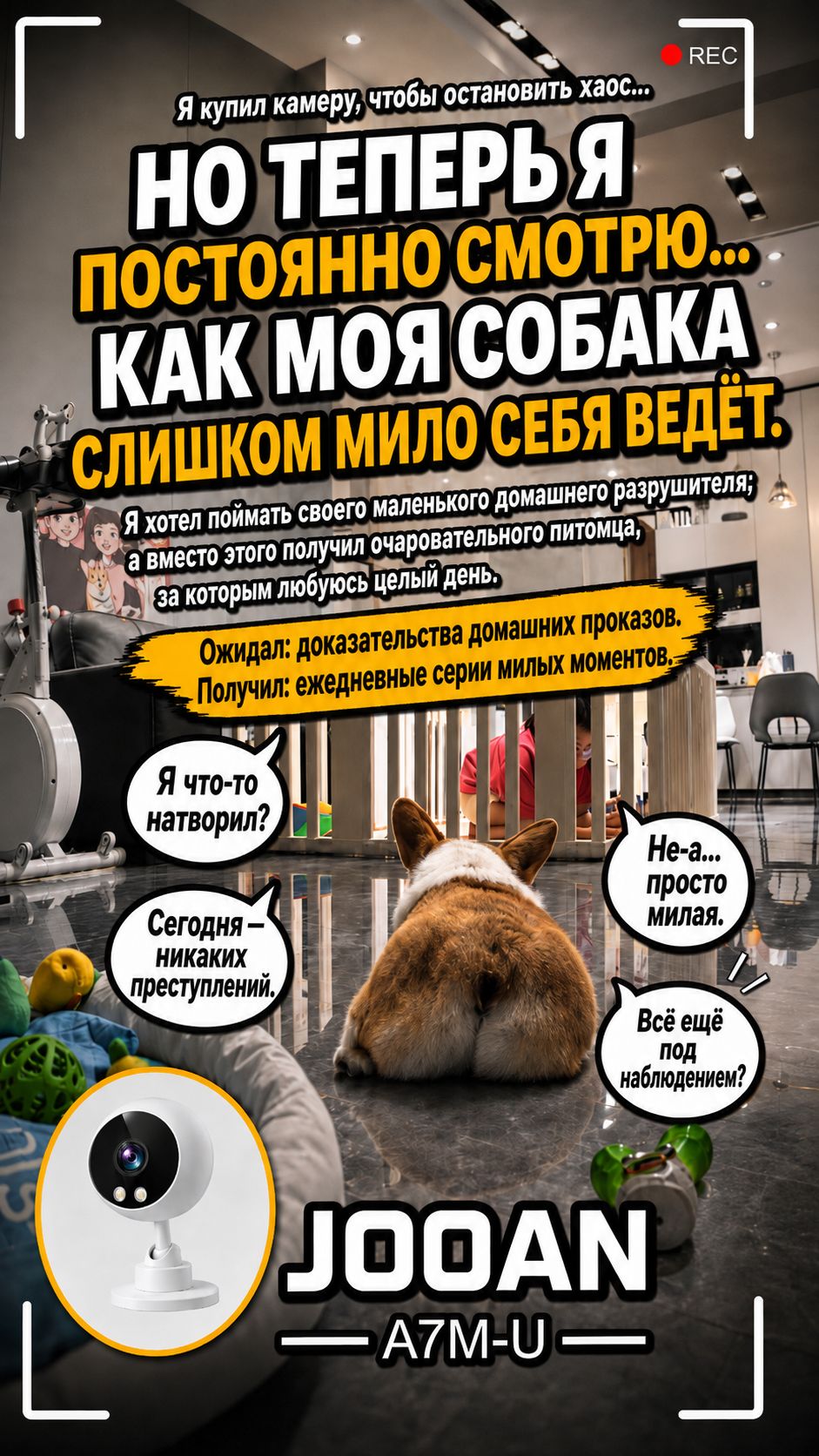 Ноль преступлений,  Максимум милоты🐾