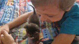 СЫНОК ИГРАЕТ С КОТЁНКОМ🤗🥰👋💯💥