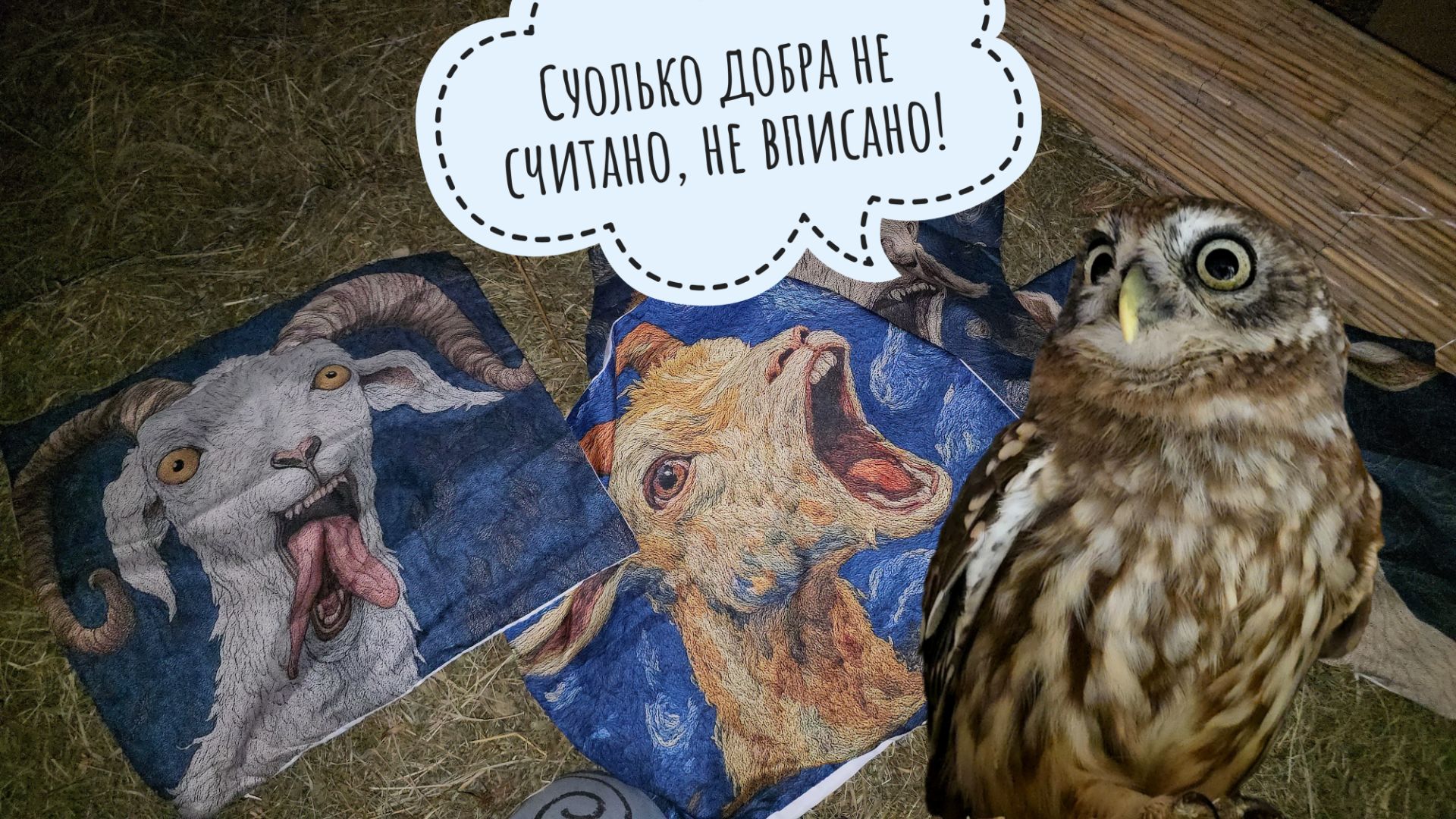 Сыч Лучик заглянул на чердачок совешни и изумился. Приготовили подарки для козлов и их Ани