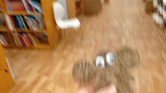 Вторниковский Vlog