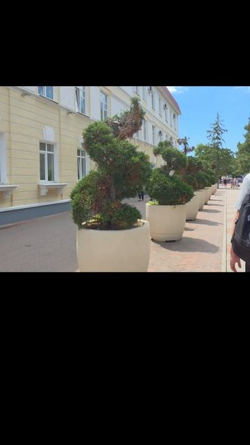 Кусты...
#humor #travel #sergeasy #юмор #nature