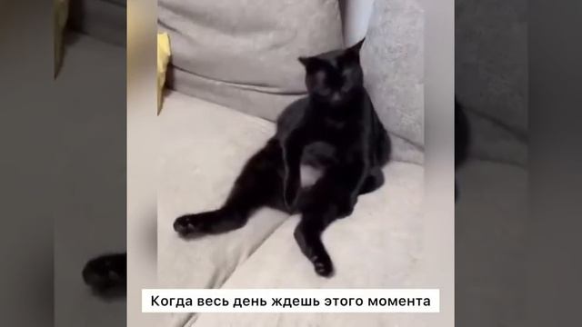 64418.mp4