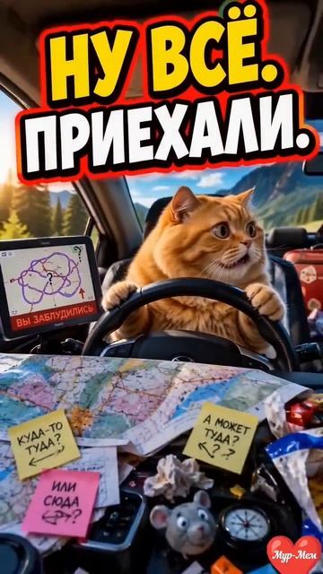 🚗 НУ ВСЁ. ПРИЕХАЛИ! 😂