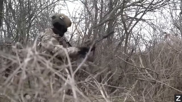 «РУССКИЕ ШТУРМЫ» Песни СВО