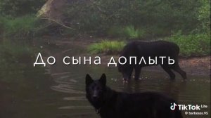 лащуры муз камэс Тэ ЛЭС пушпэ п потом лэ ❤😕