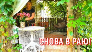Ой, что на даче?! Таких сюрпризов не ожидала