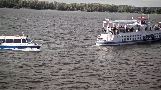 Белуга