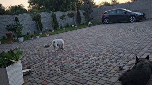 Пришёл колючий гость!