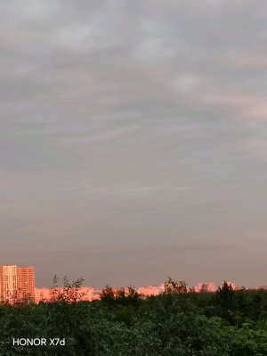 пробую еду Алёна киса