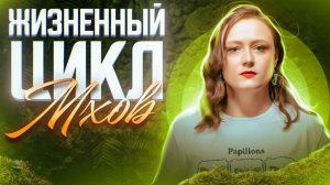 Жизненный цикл мхов | ЕГЭ-2025 по биологии