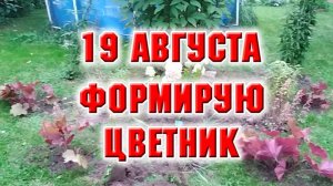 19 августа. Продолжаю формировать клумбу и высаживать цветы