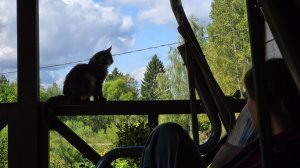 Плодотворная прогулка, кошачьи странности и новшества в Скворешнике