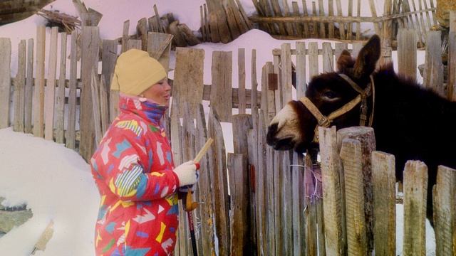 Цейское ущелье, горнолыжный курорт. 1991 год.