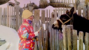 Цейское ущелье, горнолыжный курорт. 1991 год.