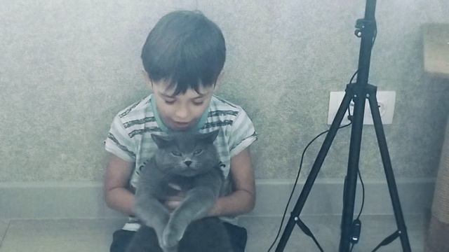 песня сахара сахара Родина моя
