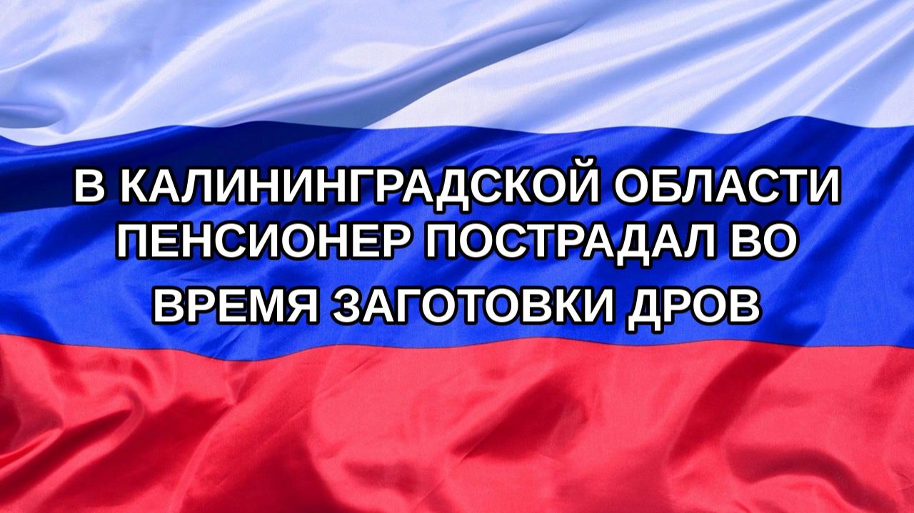 |Н. РФ| В Калининградской области пенсионер пострадал во время заготовки дров