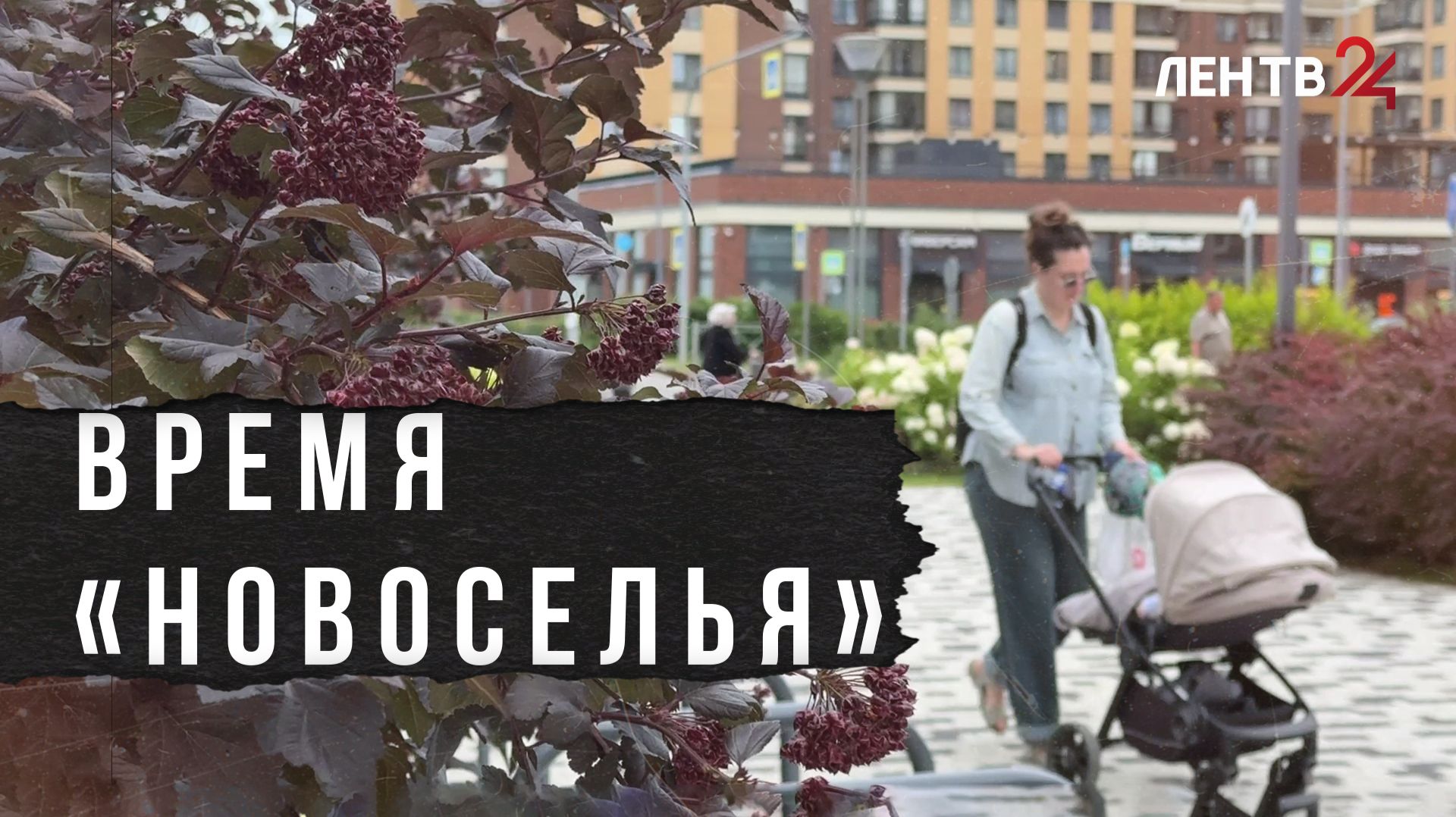 Молодой город Новоселье готовится стать столицей 101-летия Ленобласти