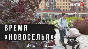 Молодой город Новоселье готовится стать столицей 101-летия Ленобласти
