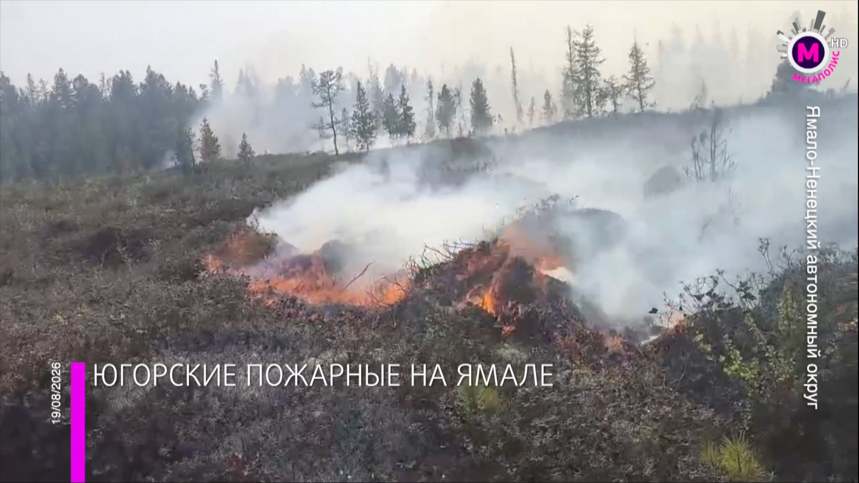 Пожары в тундре Ямала