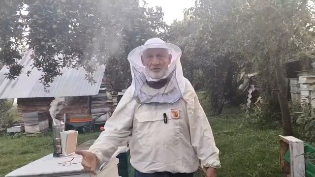 19 августа КОГДА и СКОЛЬКО сиропа пчёлам