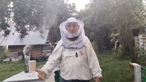 19 августа КОГДА и СКОЛЬКО сиропа пчёлам