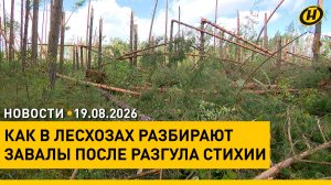 Разбор последствий непогоды /Обмен военнопленными России и Украины /Чат-бот для молодых специалистов