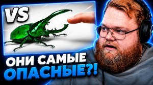 Т2х2 СМОТРИТ ▷ САМЫЕ СМЕРТОНОСНЫЕ НАСЕКОМЫЕ VS ПАЛЕЦ // ТЕРРАЗЕЛЁНЫЙ РУССКИЙ