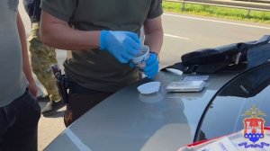 В Калининграде полицейские изъяли из незаконного оборота свыше 900 граммов галлюциногенных грибов