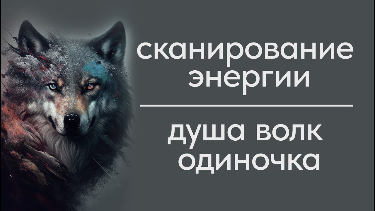 СКАНИРОВАНИЕ ЭНЕРГИИ. Душа волк одиночка.