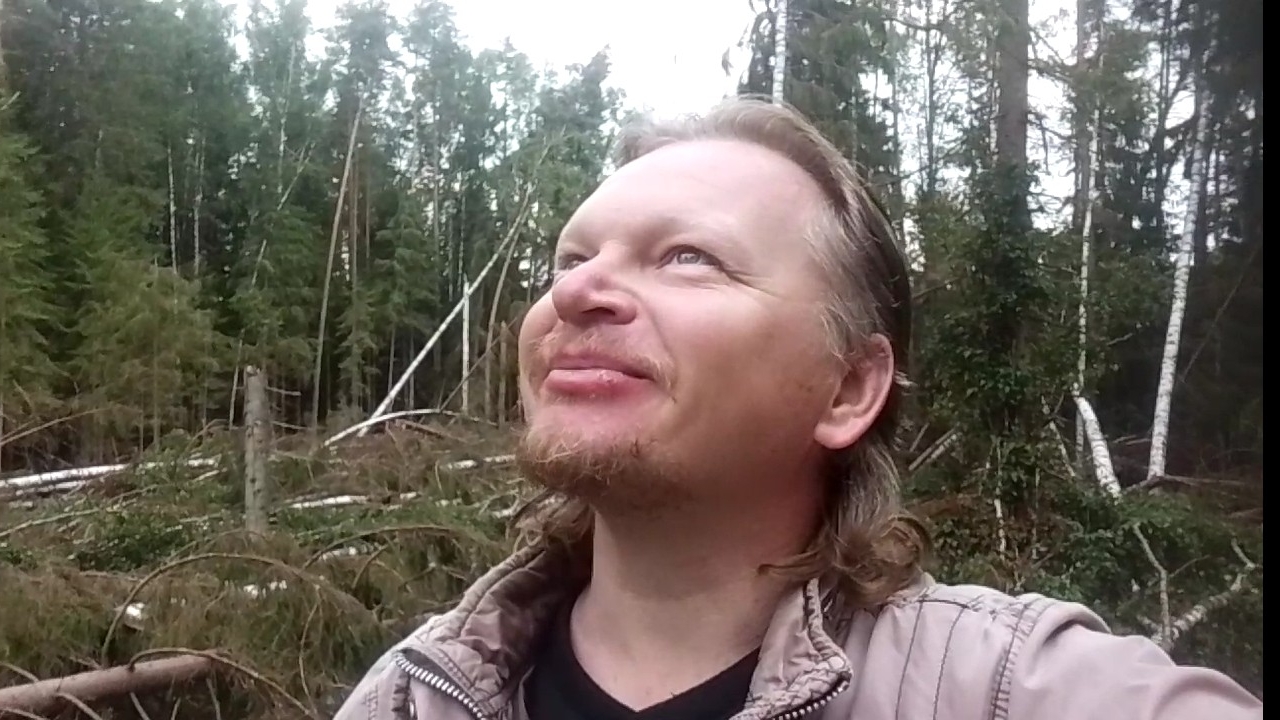 7. Утренняя прогулка