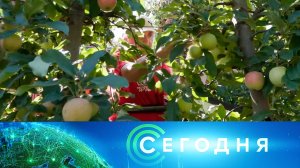 «Сегодня»: 19 августа 2026 года. 13:00 | Выпуск новостей | Новости НТВ