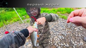 Красноборские рыбалки. День 1. Первый жерех
