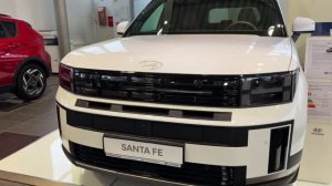 Hyundai Santa Fe - Визуальный осмотр автомобиля .