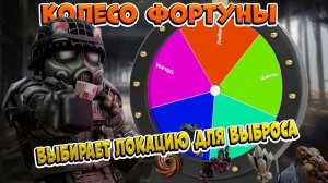 Выбираем локацию на выброс с помощью колеса фортуны - Типичный север - STALZONE
