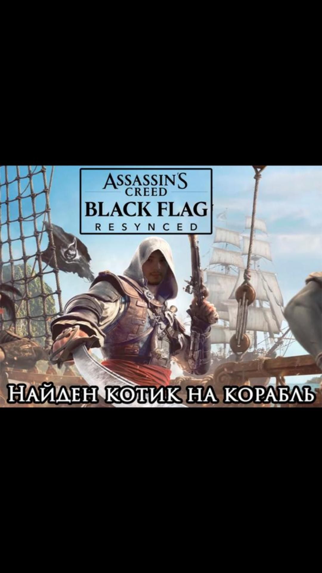 Найден котик на корабль  blackflagresynced