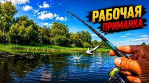 ПРАВИЛЬНАЯ СТАВКА на ПРАВИЛЬНУЮ ПРИМАНКУ!