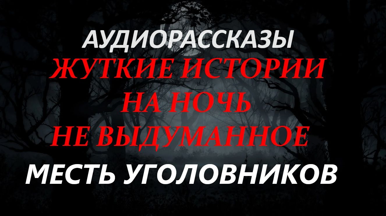 СТРАШНЫЕ РАССКАЗЫ НА НОЧЬ-МЕСТЬ УГОЛОВНИКОВ