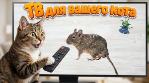 Видео игры для кошек! Игры с мышками и нитками 🐾