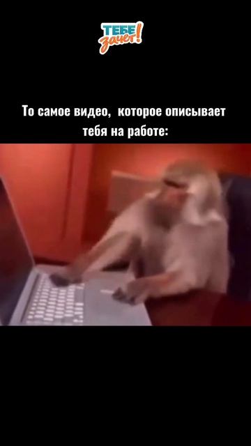 Сессия рядом? «Тебе зачёт!» поможет
закрыть учебные долги! Почта:
Zakaz@tebezachet.ru #рекомендации